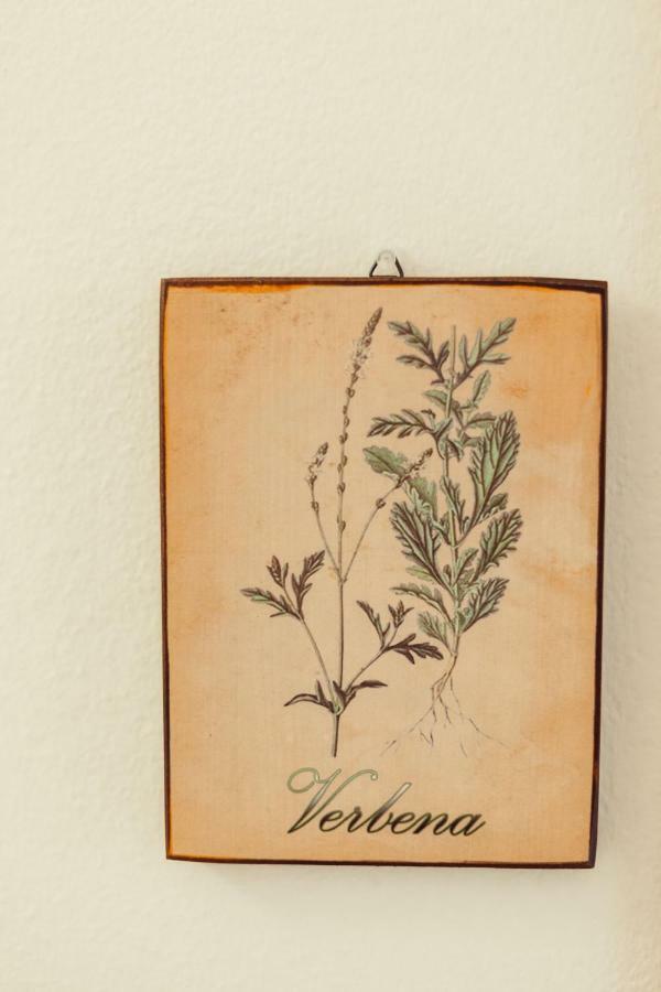 ألغيرو B&B Artemisia المظهر الخارجي الصورة