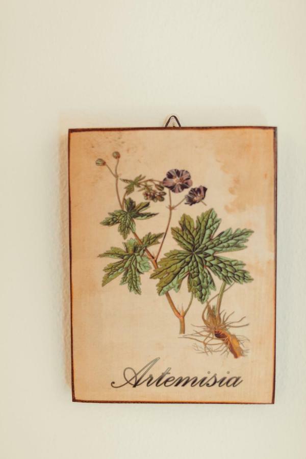 ألغيرو B&B Artemisia المظهر الخارجي الصورة
